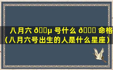 八月六 🌵 号什么 🐞 命格啊（八月六号出生的人是什么星座）